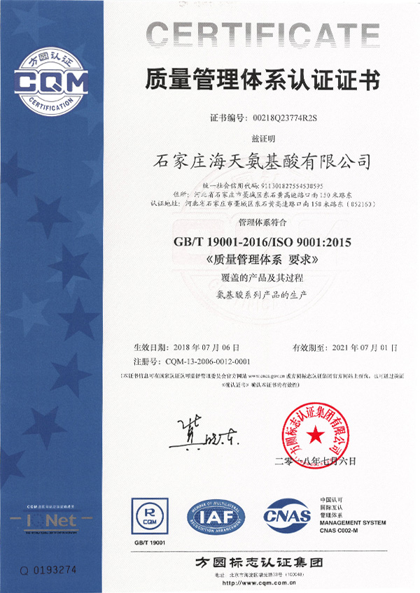 ISO-9001 中文